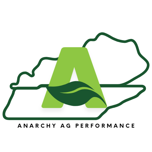 Anarchy State Logo